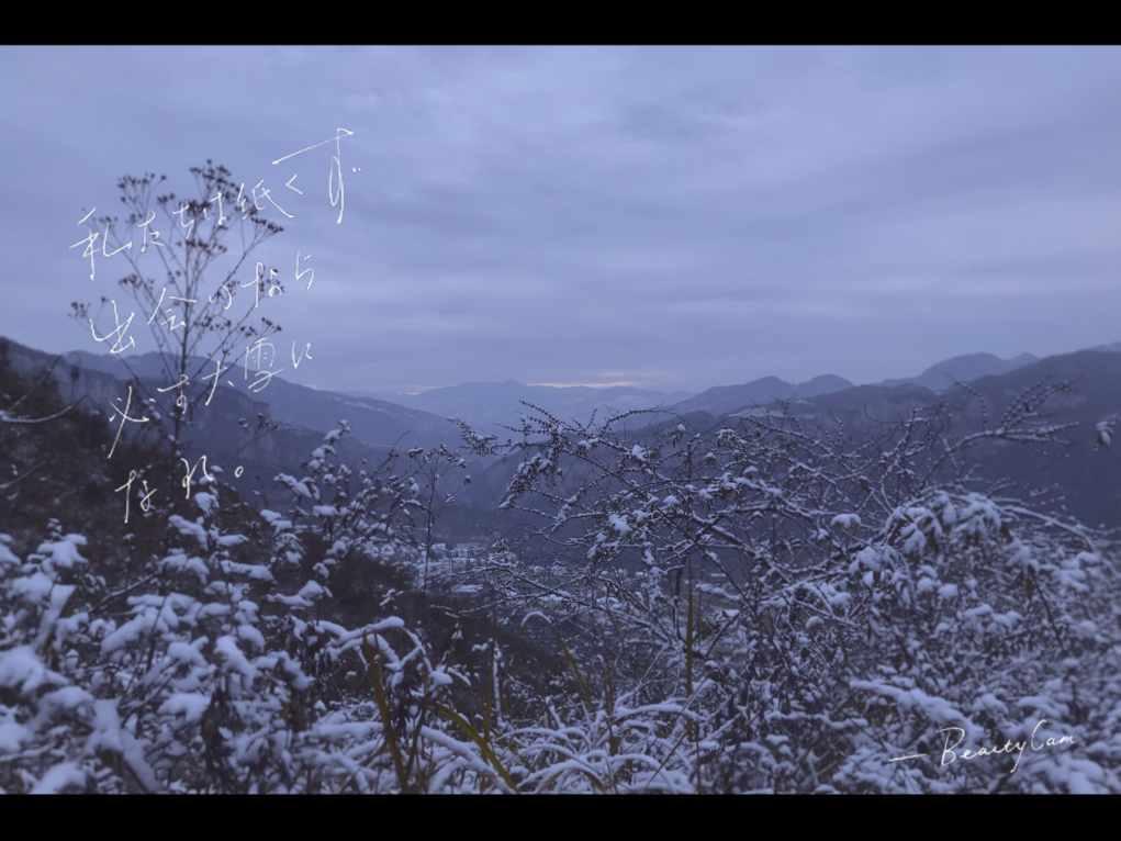 探索世界的奥秘,尽在遇到素质差的网友怎么办?问答平台!